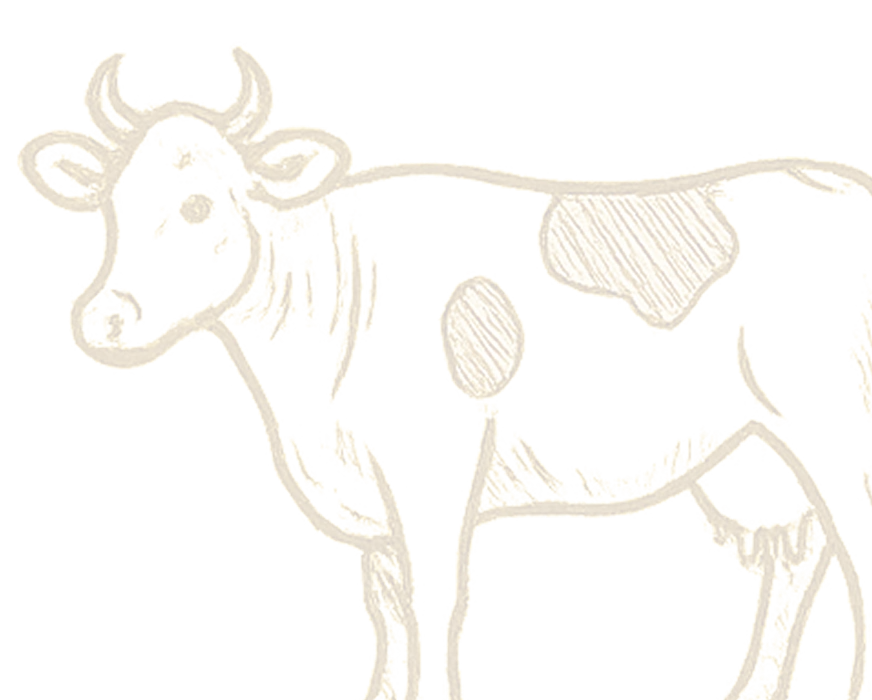 footer cow icon